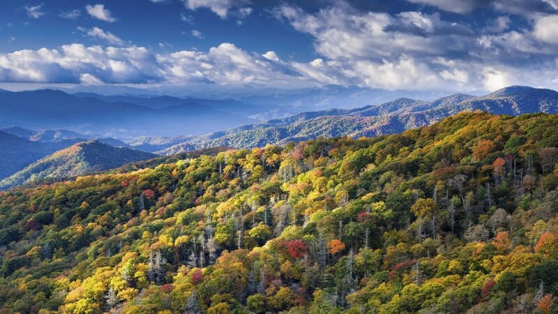 Wild Appalachia: Guida TV - TV Sorrisi e Canzoni