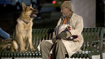 Cool dog - Rin tin tin a new york: Guida TV - TV Sorrisi e Canzoni