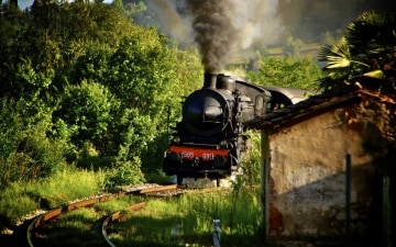 Trans Europe Express: Guida TV - TV Sorrisi e Canzoni