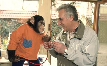 Il Nostro Amico Charly: Guida TV - TV Sorrisi e Canzoni