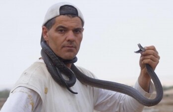 Wild Frank: Australia: Guida TV - TV Sorrisi e Canzoni