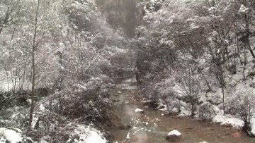 Siberia: lo Yeti killer: Guida TV - TV Sorrisi e Canzoni