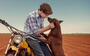 Red Dog - L'inizio: Guida TV - TV Sorrisi e Canzoni