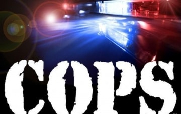 Cops: Guida TV - TV Sorrisi e Canzoni