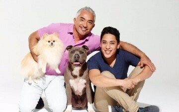 Cesar Millan: Coast to Coast: Guida TV - TV Sorrisi e Canzoni