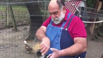 Giorgione: orto e cucina - Animali da cortile: Guida TV - TV Sorrisi e Canzoni