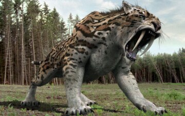 I misteri dei giganti: Guida TV - TV Sorrisi e Canzoni