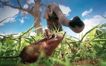Hidden Kingdoms: Guida TV - TV Sorrisi e Canzoni