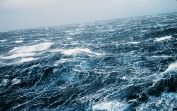 Lupi di mare: le grandi sfide: Guida TV - TV Sorrisi e Canzoni