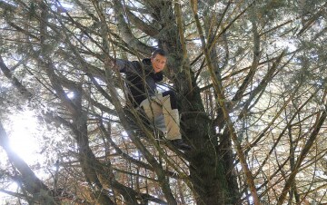 Bear Grylls: sopravvivi se ci riesci: Guida TV - TV Sorrisi e Canzoni