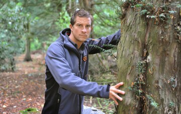Bear Grylls: sopravvivi se ci riesci: Guida TV - TV Sorrisi e Canzoni