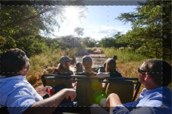 Custodi della natura: Guida TV - TV Sorrisi e Canzoni