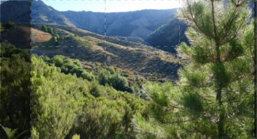 Corsica: A Picco Sul Mare: Guida TV - TV Sorrisi e Canzoni