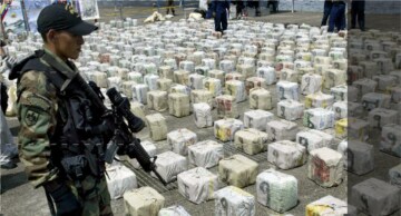 Guerra alla droga: Guida TV - TV Sorrisi e Canzoni