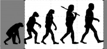 Evolution - Il viaggio di Darwin: Guida TV - TV Sorrisi e Canzoni