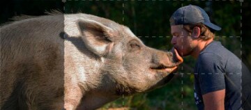 La mia vita è una fattoria: Guida TV - TV Sorrisi e Canzoni