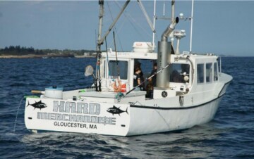 Lupi di mare: Guida TV - TV Sorrisi e Canzoni