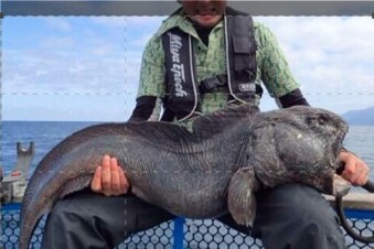 River Monsters: incontri pericolosi: Guida TV - TV Sorrisi e Canzoni