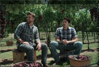 Il primo raccolto: Guida TV - TV Sorrisi e Canzoni