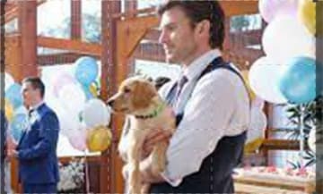 Cuccioli in festa: Guida TV - TV Sorrisi e Canzoni