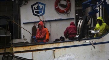 Deadliest Catch: speciale: Guida TV - TV Sorrisi e Canzoni