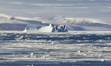 Frozen Planet: Guida TV - TV Sorrisi e Canzoni