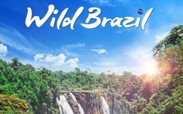 Wild Brazil: Guida TV - TV Sorrisi e Canzoni