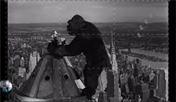 Speciale Wonderland - King Kong: Guida TV - TV Sorrisi e Canzoni