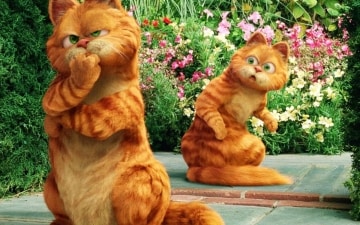 Garfield 2: Guida TV  - TV Sorrisi e Canzoni