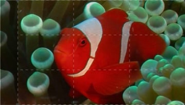 Le più grandi meraviglie naturali del mondo: Guida TV - TV Sorrisi e Canzoni
