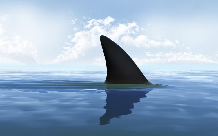 Voodoo Shark: il mostro della palude: Guida TV - TV Sorrisi e Canzoni