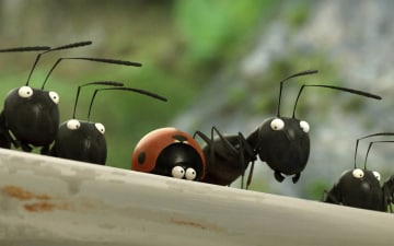 Minuscule - La valle delle formiche perdute: Guida TV  - TV Sorrisi e Canzoni