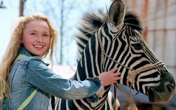 Striscia, una zebra alla riscossa: Guida TV  - TV Sorrisi e Canzoni