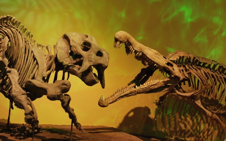 Prehistoric Monsters Revealed: Guida TV  - TV Sorrisi e Canzoni