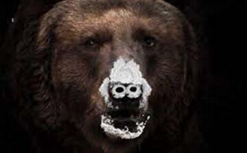 Cocainorso: Guida TV - TV Sorrisi e Canzoni