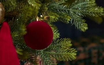 Natale in Scozia: Guida TV - TV Sorrisi e Canzoni