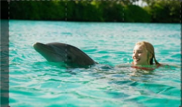 L'isola dei delfini: Guida TV - TV Sorrisi e Canzoni