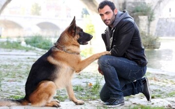 Rex: Guida TV - TV Sorrisi e Canzoni