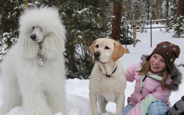 Mamma che Natale da cani!: Guida TV - TV Sorrisi e Canzoni