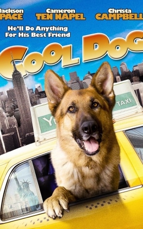 Cool Dog - Rintintin a New York: Guida TV  - TV Sorrisi e Canzoni
