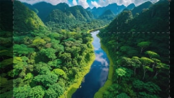 Il Mondo Tropicale: Guida TV - TV Sorrisi e Canzoni
