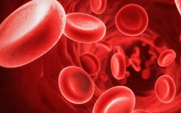 Il meraviglioso mondo del sangue: Guida TV - TV Sorrisi e Canzoni