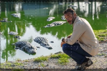 Focus Natura - Un Mondo Perfetto: Guida TV - TV Sorrisi e Canzoni