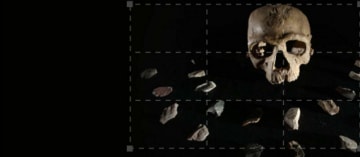 Homo sapiens - la riscoperta delle origini: Guida TV - TV Sorrisi e Canzoni