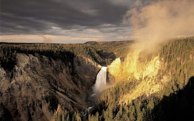 Wild North America: Guida TV - TV Sorrisi e Canzoni