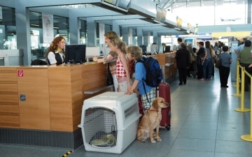 Airport Security: animali: Guida TV  - TV Sorrisi e Canzoni