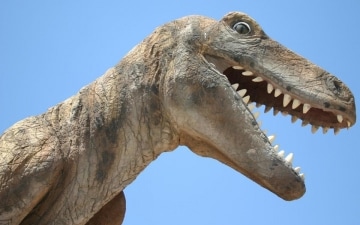 Jurassic Wars: Guida TV - TV Sorrisi e Canzoni