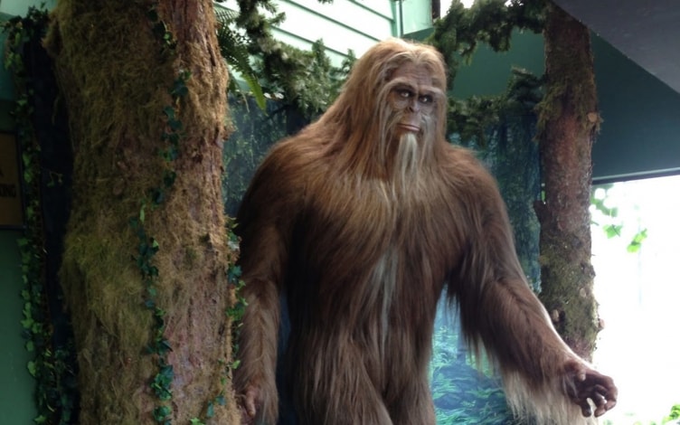 Bigfoot in trappola: Guida TV - TV Sorrisi e Canzoni