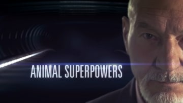 Superpoteri animali: Guida TV  - TV Sorrisi e Canzoni