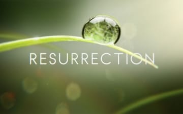 Resurrection: Guida TV  - TV Sorrisi e Canzoni